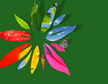 Giletnature